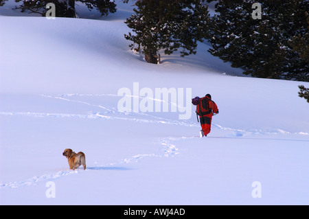 Bergrettung und Hund Skigebiet Soldeu Andorra Stockfoto