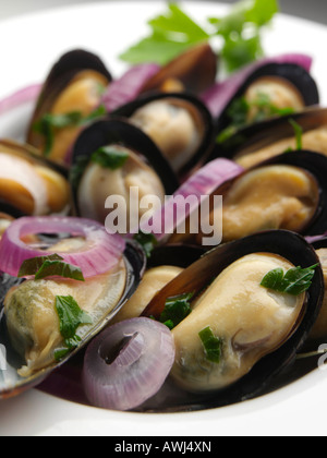 Moule Marinaire redaktionelle Essen Stockfoto