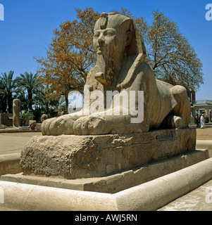 Sphinx In Alexandria Ägypten Nordafrika Stockfoto