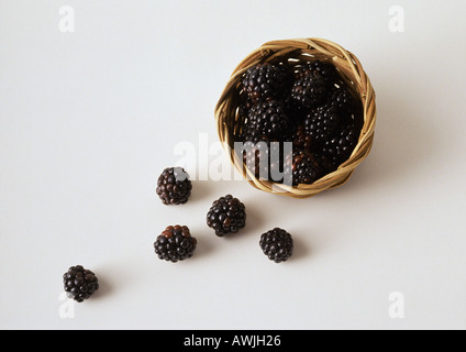 Brombeeren aus Korb Stockfoto