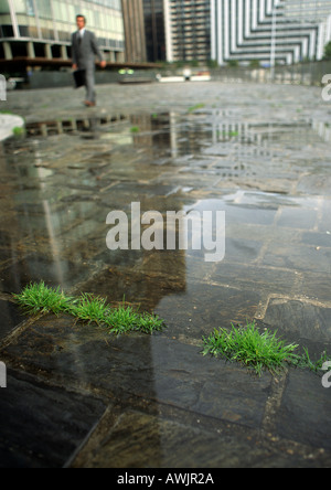 Spiegelungen im Wasser auf Stein esplanade Stockfoto