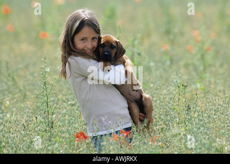 Rhodesian Ridgeback (Canis Lupus Familiaris). Mädchen mit Welpen auf dem Arm stehen in einem blühenden Feld Stockfoto