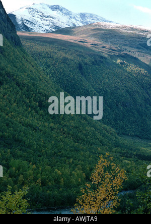 Berge, close-up Stockfoto