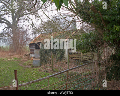 CLOPHILL, BEDFORDSHIRE, Großbritannien. 19. Feb 2008. In der Ecke eines Paddock, einem alten und verfallenen Bauernhof Gebäude steht mit dem Rosten Wellblechdach Stockfoto