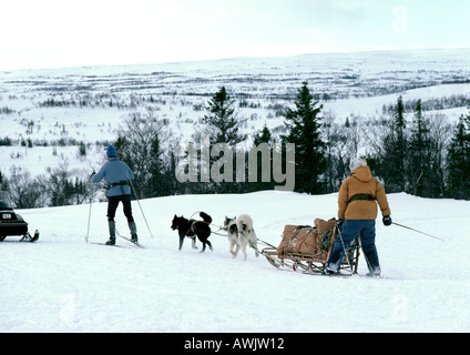 Schweden, Schlittenhunde ziehen Schlitten und Menschen auf Langlaufskiern im Schnee Stockfoto