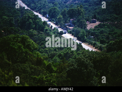 Autos Reisen durch bewaldete Autobahn, Birdseye anzeigen. Stockfoto