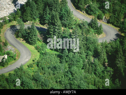 Straße schlängelt sich durch Waldgebiet, Luftbild Stockfoto