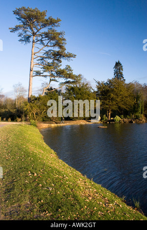 Blick auf den See mit Booten im Dunorlan Park, Royal Tunbridge Wells Stockfoto