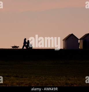 Ein Winternachmittag schlendern Sie am Ferring Strandpromenade zu Fuß die Hunde. Bild von Jim Holden. Stockfoto