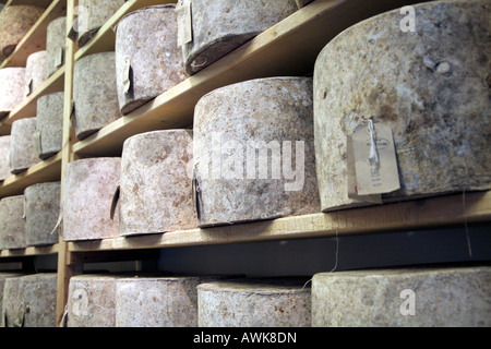 Käse auf dem Display auf Neals Yard Dairy, Borough Market, Süd-Ost-London. Stockfoto