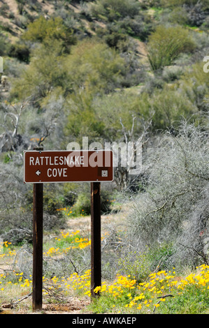 Wegweiser zu Klapperschlange Bucht bei Bartlett Lake Recreation Area in der Nähe von Carefree, Arizona Stockfoto