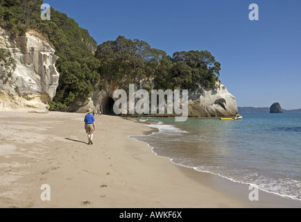 Cathedral Cove in der Nähe von Hahei auf der Coromandel Halbinsel, Neuseeland Stockfoto