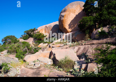 Blick auf Enchanted Rock eine Reihe von Granit Kuppeln steigt aus den umliegenden Texas Hill Country Stockfoto