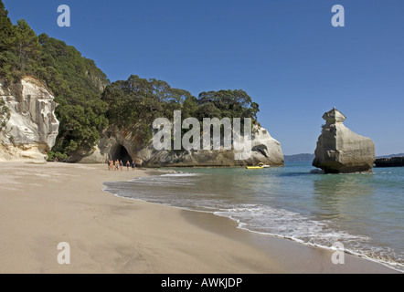 Cathedral Cove in der Nähe von Hahei auf der Coromandel Halbinsel, Neuseeland Stockfoto