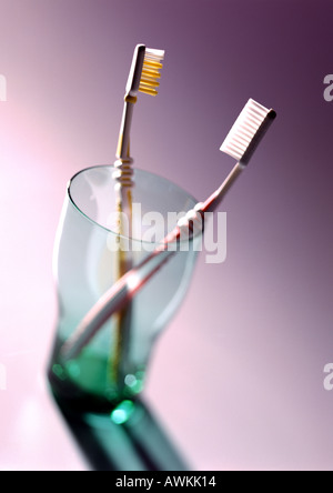 Zahnbürsten im Glas Stockfoto