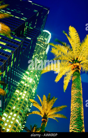 Palmen und Hochhäusern beleuchtet in der Nacht in Los Angeles, Kalifornien, USA Stockfoto