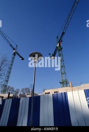 Krane, niedrigen Winkel Ansicht Stockfoto