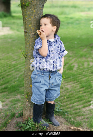 Kleiner Junge hinter einem Baum stehen Stockfoto