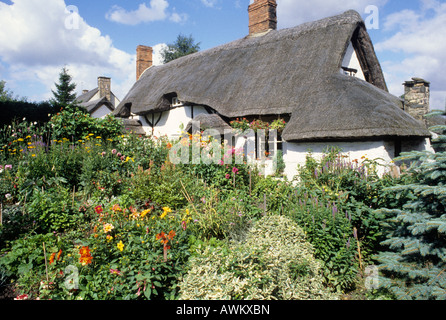 Traditionelle englische strohgedeckten Country Cottage Pest Cottage Woodhouse Leicestershire Gartenblumen Pflanzen Charme charmant friedliche Stockfoto