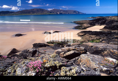 Sparsamkeit und Felsen neben Strand, Rosbeg Tramore, County Donegal, Irland Stockfoto