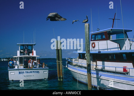 Angelboote/Fischerboote im Meer, Islamorada, Key West, Florida, USA Stockfoto