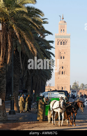 Pferdekutsche vor dem Minarett der Koutoubia Moschee, Marrakesch, Marokko, Afrika Stockfoto