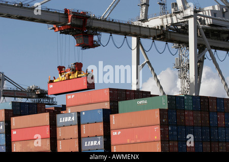 Kran heben Container auf die Copiapo-Container-Schiff den Hafen von Le Havre Seine Maritime France Stockfoto