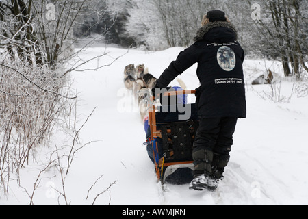 Hundeschlitten-Team in Schwarze Berge (Black Mountains), Rhön-Palette, Franken, Bayern, Deutschland, Europa Stockfoto