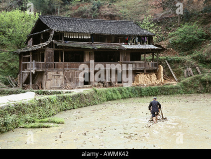 China, autonome Region Guangxi Mann Pflügen Reisfeld, altes Haus am Ufer Stockfoto