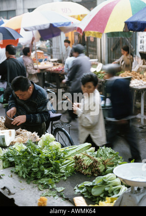 China, Peking, Open-Air-Markt, produzieren Stall, Shopper durchsuchen Stockfoto