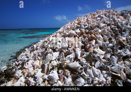 Muschel-Hügel, Fischer's Abfall auf Cayo Crasqui Insel, Islas Los Roques, Venezuela, Karibik Stockfoto