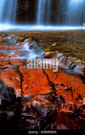 Jasper Flussbett, Quebrada de Jaspe, Bolívar, Gran Sabana, Venezuela, Südamerika Stockfoto