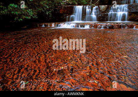 Jasper Flussbett, Quebrada de Jaspe, Bolívar, Gran Sabana, Venezuela, Südamerika Stockfoto