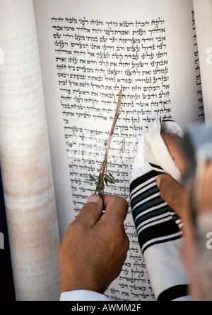 Israel, Jerusalem, Hand zeigte auf Torah mit Olivenzweig, Nahaufnahme Stockfoto