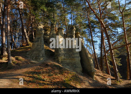 Sandsteinsäulen im Hoedinger Tobel, Bodensee, Baden-Württemberg, Deutschland, Europa Stockfoto