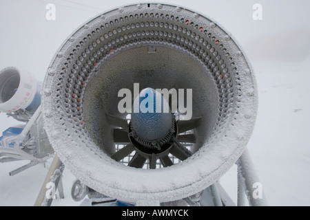 Schneekanone im Nebel, Strbske Pleso, Slowakei. Stockfoto