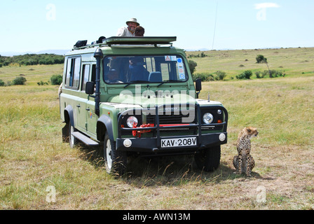 Gepard (Acinonyx Jubatus) sitzt neben einem Jeep mit Fotograf und Kamera, Masai Mara National Game Reserve, Kenia, Afrika Stockfoto