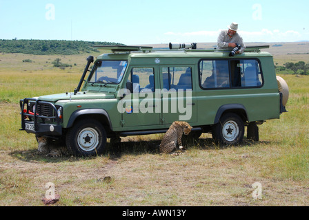 Gepard (Acinonyx Jubatus) sitzt neben einem Jeep mit Fotograf und Kamera, Masai Mara National Game Reserve, Kenia, Afrika Stockfoto