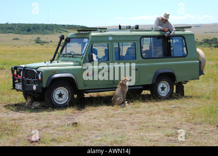 Gepard (Acinonyx Jubatus) sitzt neben einem Jeep mit Fotograf und Kamera, Masai Mara National Spiel Rese Stockfoto