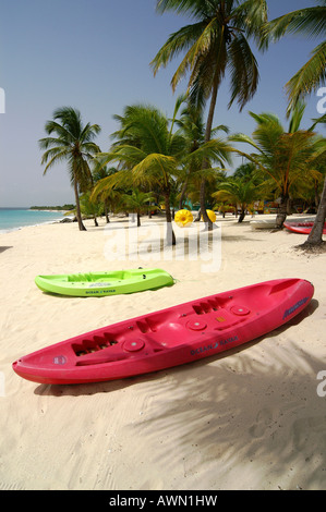 Strand, Palmen und zwei bunten Kajaks, Catalina Island, Dominikanische Republik, Karibik, Amerika Stockfoto