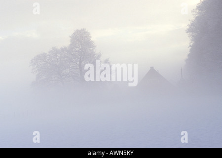 Nebligen Bauernhof im winter Stockfoto