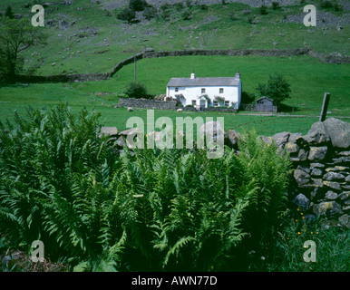 Weiß getünchtes Lakeland, aus Stein gebauten Bauernhaus in der Nähe von patterdale, Nationalpark Lake District, Cumbria, England, UK. Stockfoto