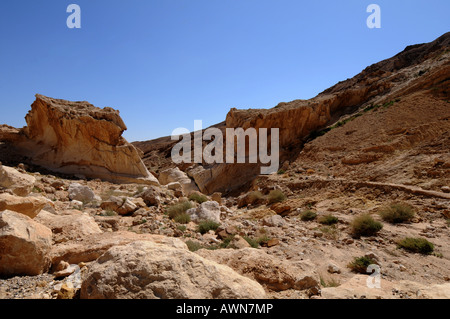 Negev-Wüste Israels Stockfoto