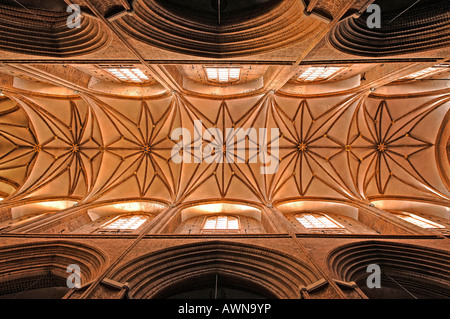 Gotische Decke Gewölbe gebaut Hanseatic-Stil Nikolaikirche 1407-1440, Lüneburg, Niedersachsen, Deutschland, Europa Stockfoto