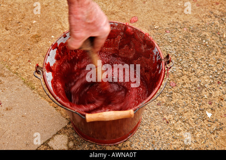 Haus Schlachten, Schweineblut, regte sich in einen Eimer zu Blut Wurst, Eckental, Middle Franconia, Bayern, Deutschland, Europa Stockfoto