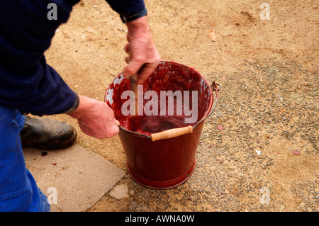 Haus Schlachten, Schweineblut, regte sich in einen Eimer zu Blut Wurst, Eckental, Middle Franconia, Bayern, Deutschland, Europa Stockfoto