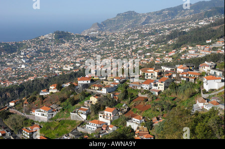 Funchal, Madeira, Portugal, Atlantik Stockfoto