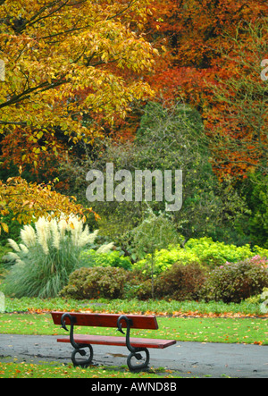 Herbst in harrogate Stockfoto