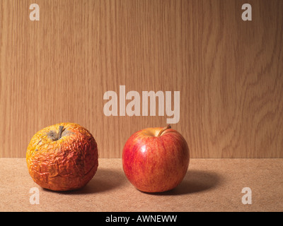 Ein fauler Apfel und reifer Apfel Stockfoto