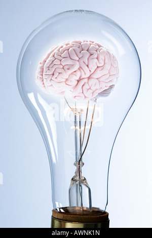 Ein Gehirn in einer Glühbirne Stockfoto